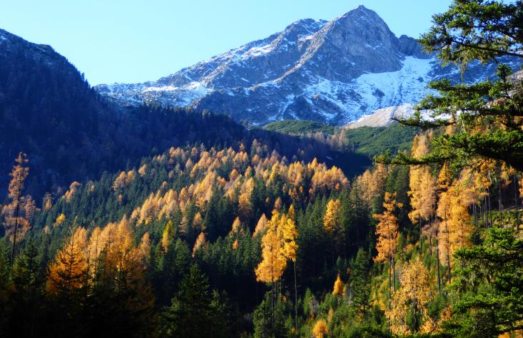 Beim Aufstieg ist der Palfnerseekogel im Blick