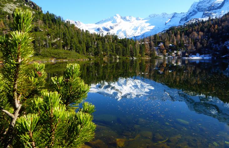 Im Herbst trifft sich saftiges Grün mit eisigem Blau