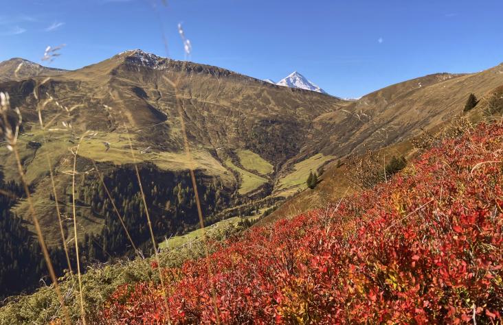 Herbstliches Farbenspiel