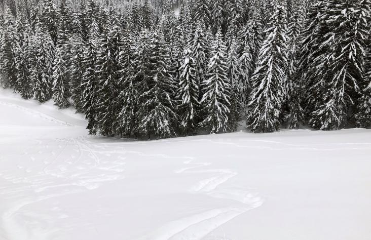 Ein letzter Abfahrtshang 