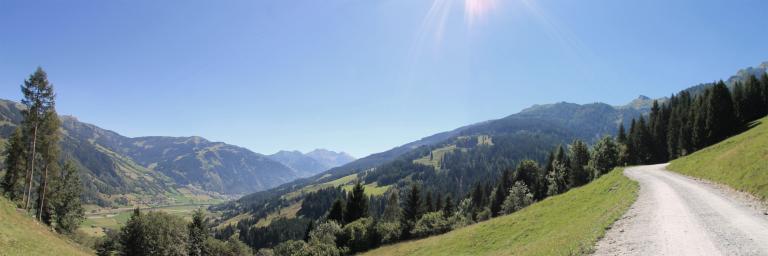 Am Weg zur Amoser Hochalm in Dorfgastein