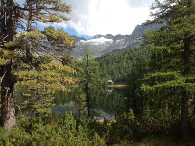 Der Reedsee