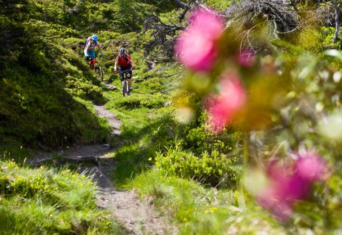 Almenbiking mit Bike Gastein