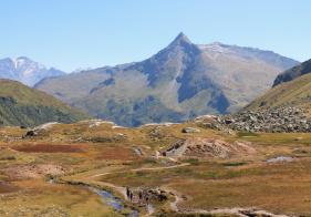 Ein kurzer Blick zurück - Im Hintergrund der markante Salesenkogel.