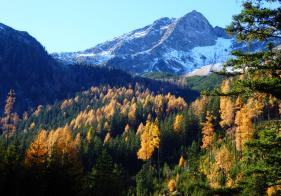 Beim Aufstieg ist der Palfnerseekogel im Blick