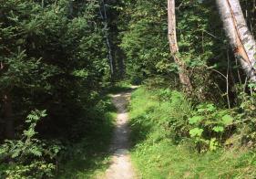 Der Hardtweg führt zur Rudolfshöhe