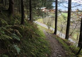 Die letzten Meter am Trail