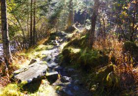 Der Wanderweg bergauf ist steil und erfordert gute Kondition