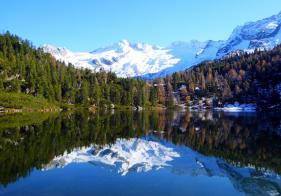 Der herbstliche Reedsee