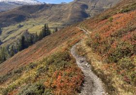 Vor uns der Breitfeldkogel am Kreilinger Steig