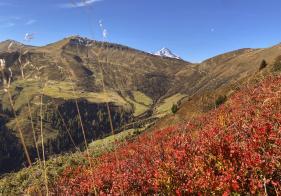 Herbstliches Farbenspiel