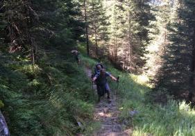 Am Weg ins Kühkar