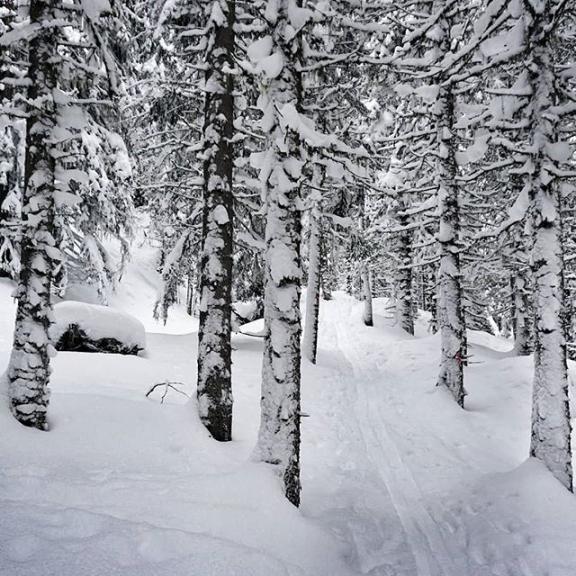 As with skiing or riding any kind of terrain, tensing up your muscles only serves to exhaust you. Take a deep breath and visualize being light on your feet and floating on top of the snow between the trees. Remember, you’re in control and life doesn’t get any better than this. 🙏
#skiing in #BadGastein on the #Graukogel #becareful and now don't ski out in #openareas it will be to #dangerus #avalanche can #kill you ‼️ #besafe
#bealife #seeyou on the #mountains cheers #MangoJerry 😎
#patagoniaski #smithoptics #GuidedTours4You #patagoniaflyfish #powderskiing #powderski #gasteinurlaub #bookinggastein