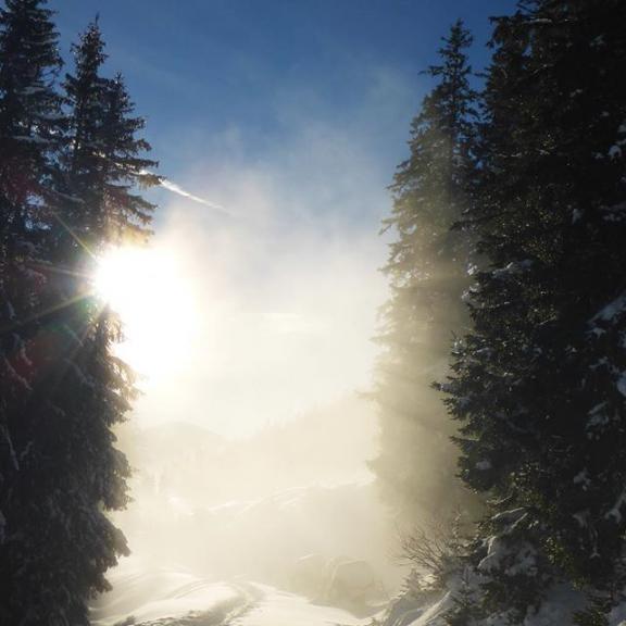 One more picture from our skiing holidays in #gastein. Powder snow for nearly a full week!!!
.
#powderday #powderskiing #powdersnow #skiing #badgastein #angertal #hofgastein #badhofgastein #sun #sky #bluesky #greattime #greattimes #schlossalm #schlossalmbahn #52wiesnerwochen