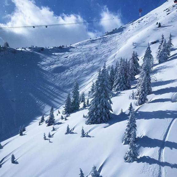 A bit more of the beauti🏔
.
.
.
#badgastein #badhofgastein #angertal #ski #skiing #sunshine #sun #powdersnow #snow #white #mountains #panoramaview #panorama #nature #trees #tree #pretty #vacation #travel #trip #coulds #l4l #f4f #スキー #雪 #雪山 #自然 #太陽 #木 #パノラマ