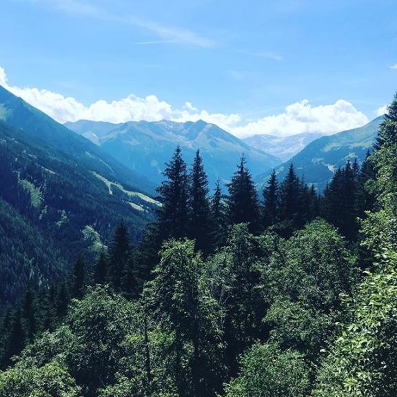 ⛰ #intothewoods#badgastein#poserhöhe#hiking#austria