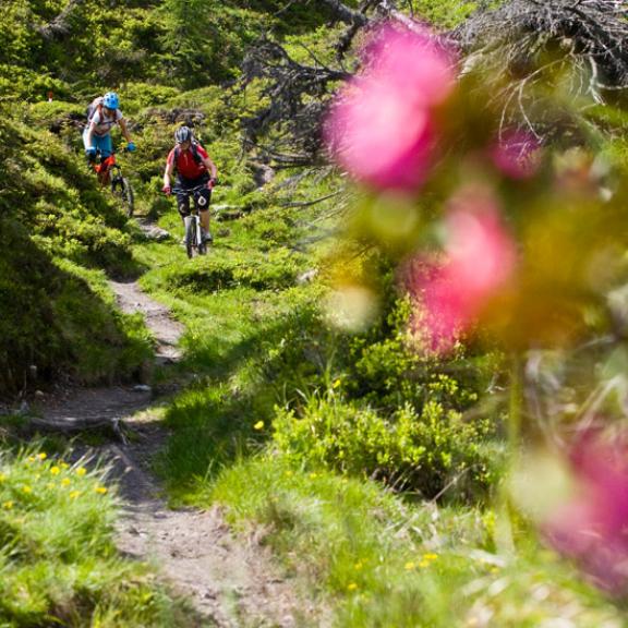 Almenbiking mit Bike Gastein