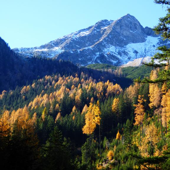 Beim Aufstieg ist der Palfnerseekogel im Blick