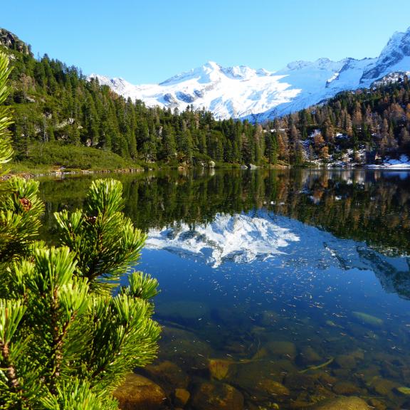 Im Herbst trifft sich saftiges Grün mit eisigem Blau