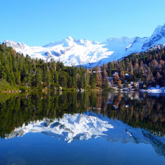 Der herbstliche Reedsee