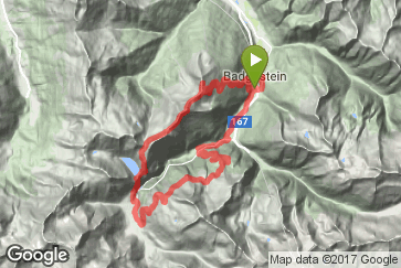 Google static map