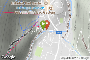 Google static map