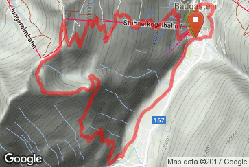 Google static map