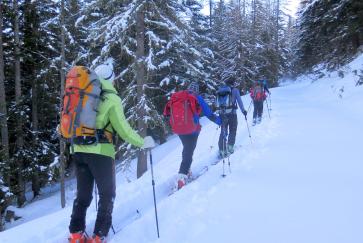 Der anstrengende Aufstieg durch die Wälder...