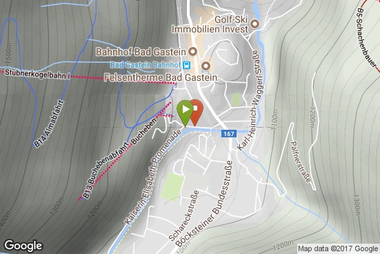 Google static map