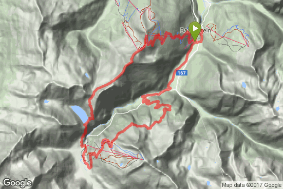 Google static map