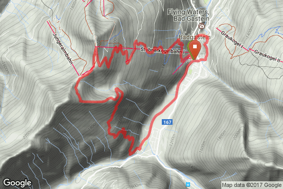 Google static map